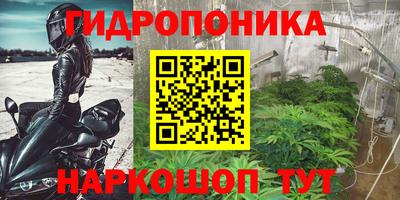 PSILOCYBIN Нальчик