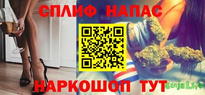 PSILOCYBIN Можга