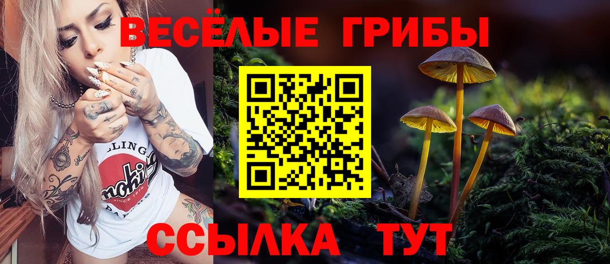 Псилоцибиновые грибы ЛСД  Галлюциногенные грибы прущие грибы  Вход с VPN  Ангарск 