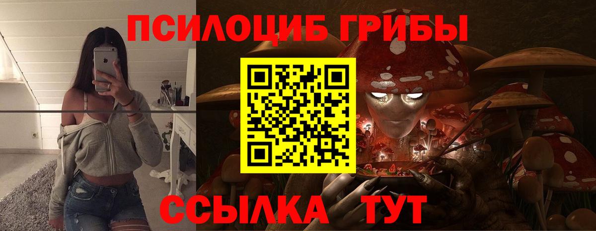 Галлюциногенные грибы Psilocybine cubensis Ангарск
